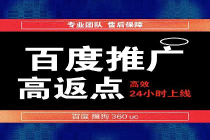 高效SEM托管服务：成功案例深度解析
